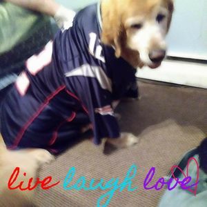 Meet your Posher, Carol